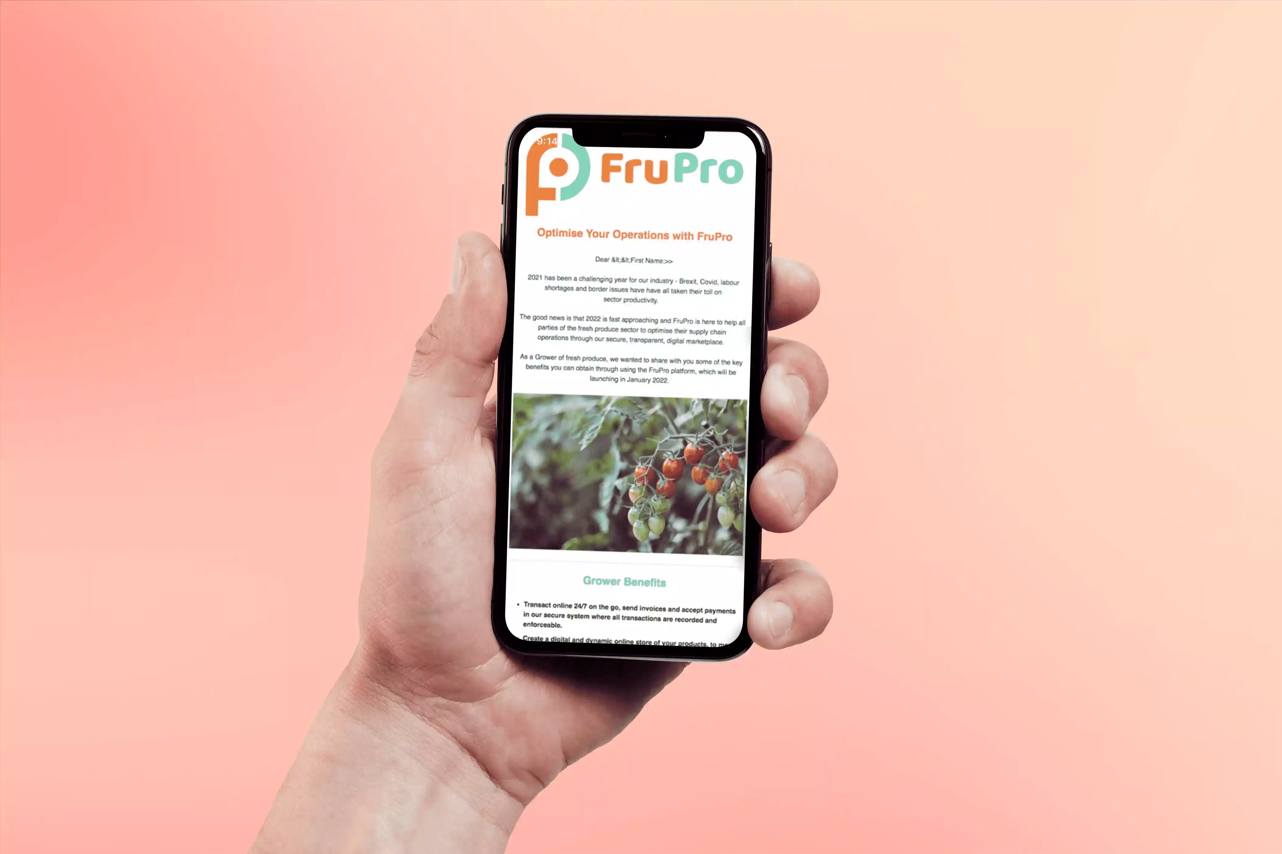 Frupro2 -  brytr uk -  sustainable marketing agency London - green, ethical and eco marketing
