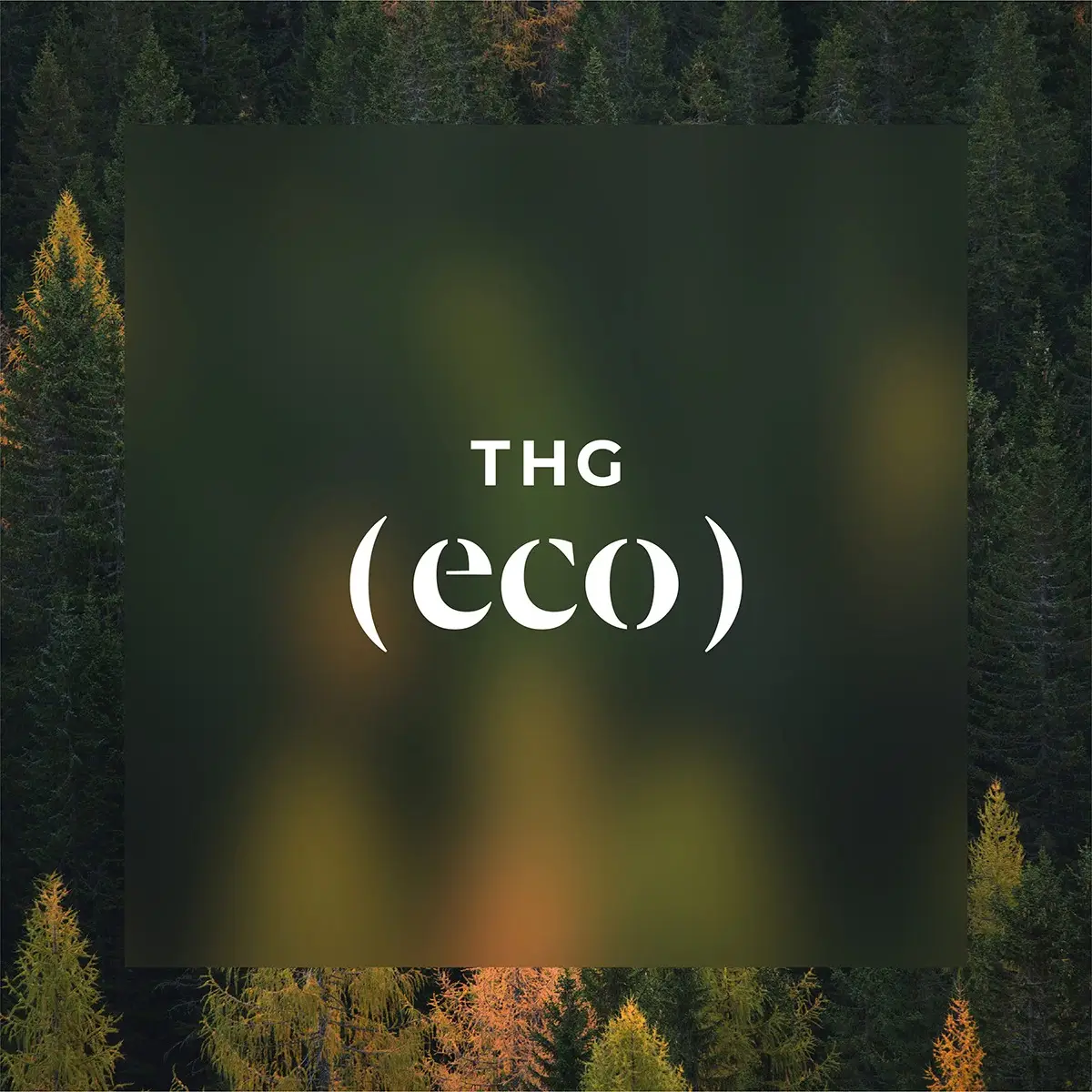 THG -  brytr uk - sustainable marketing agency London - green, ethical and eco marketing